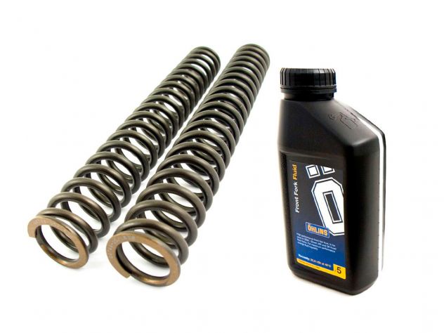 KIT MOLLE OLIO FORCELLA OHLINS BMW F 650 CS 2002-2004