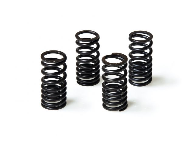 MALOSSI 4 SPRINGS FOR ENGINE VALVES...