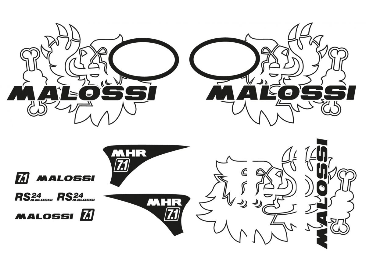 KIT ADESIVI TROFEO VESPA MALOSSI VESPA PRIMAVERA 4V 50 4T EURO 2 (C532M)