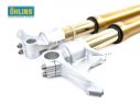 FORCELLA R&T OHLINS NIX 43MM DUCATI 1199 PANIGALE 2012-2014 ORO