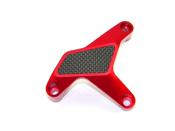 PPA01 WATER PUMP PROTECTION DUCABIKE DUCATI HYPERMOTARD 939