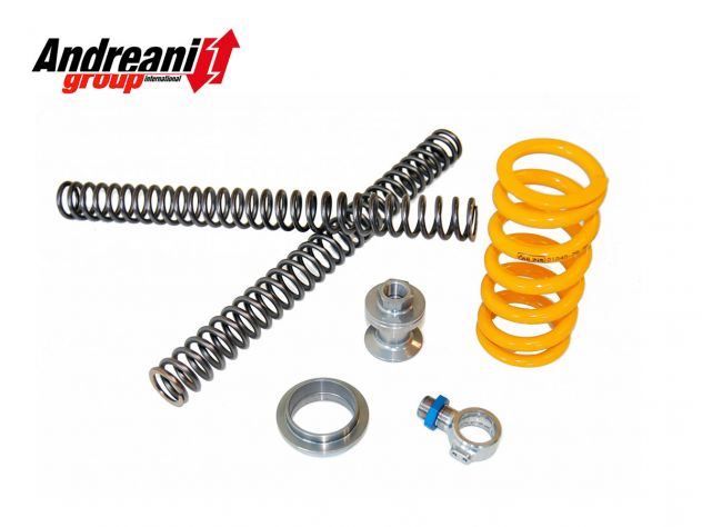 SPRINGS AND SHOCK OHLINS MODIFICATION ANDREANI DUCATI MTS 1200 S 2010-2012