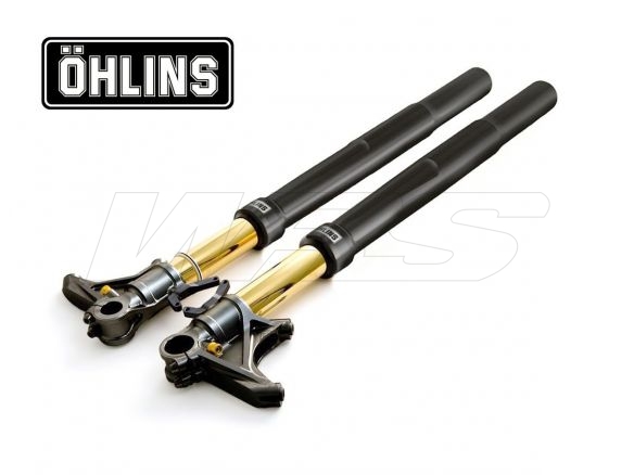 FORCELLA R&T 48MM OHLINS NERA DUCATI DIAVEL 2011-2018