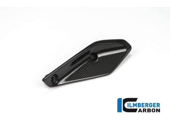 FLAP ON THE FAIRING LEFT CARBON ILMBERGER BMW R 1200 RS 2015-2018