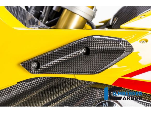 FLAP ON THE FAIRING LEFT CARBON ILMBERGER BMW R 1200 RS 2015-2018