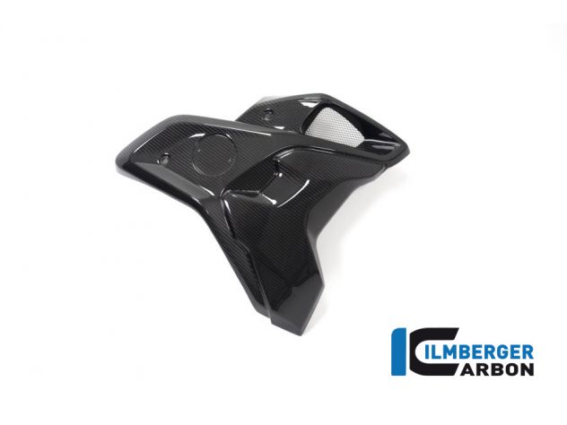 AIRTUBE RIGHT CARBON +DEFLECTOR ILMBERGER BMW R 1250 GS 2018-2019