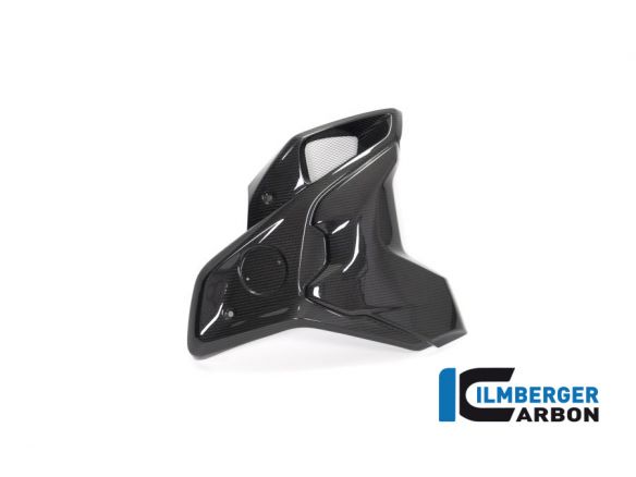 AIRTUBE RIGHT CARBON +DEFLECTOR ILMBERGER BMW R 1250 GS 2018-2019