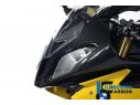 FRONT FAIRING 1PC CARBON ILMBERGER BMW S 1000 RR 2010-2011 STRADA
