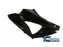 CARENA LATERALE SINISTRA CARBONIO ILMBERGER BMW HP4 2012-2018