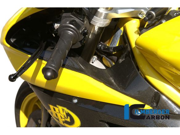 AIRTUBE COVERS PAIR CARBON ILMBERGER DUCATI 1098 / S / R