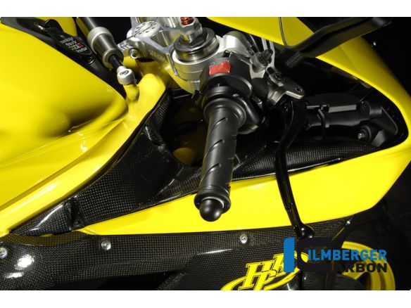 AIRTUBE COVERS PAIR CARBON ILMBERGER DUCATI 848 / S / R