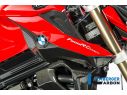 AIRTUBE COVER RIGHT CARBON ILMBERGER BMW F 800 R 2016-2019