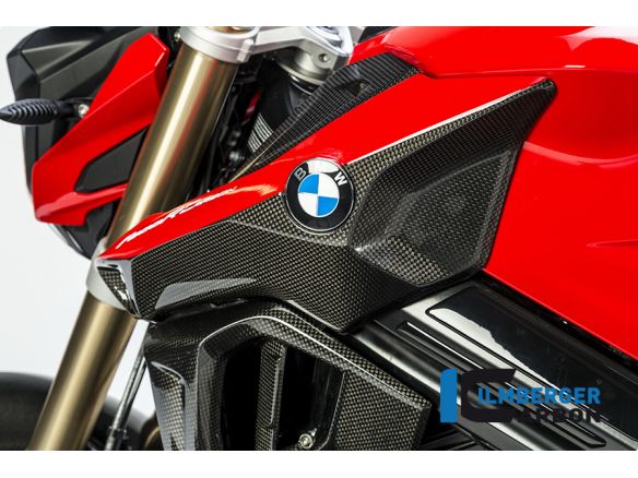 AIRTUBE COVER LEFT CARBON ILMBERGER BMW F 800 R 2016-2019