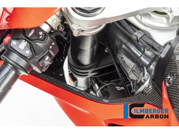 AIR TUBE COVER LEFT GLOSS CARBON ILMBERGER DUCATI PANIGALE V4 2018-2019