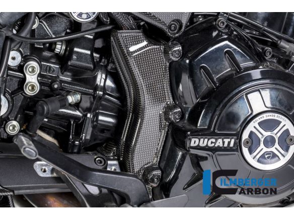 ELECTRICAL CABLE COVER GLOSSY CARBON ILMBERGER DUCATI XDIAVEL / S 2018-2019