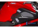 AIRBOX COVER RIGHT CARBON ILMBERGER MV AGUSTA BRUTALE 910 2005-2012