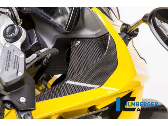 COVER NEAR THE INSTRUMENT RIGHT CARBON ILMBERGER BMW R 1200 RS 2015-2018