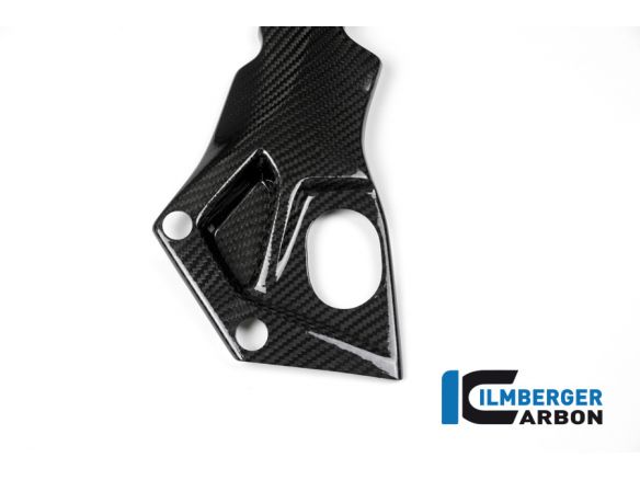 FRAME COVER RIGHT CARBON ILMBERGER BMW S 1000 RR 2017-2019 RACE