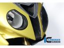 VERKLEIDUNGSMITTELTEIL OBEN, LUFTEINLASS CARBON BMW S 1000 RR 2010-2011 STRADA