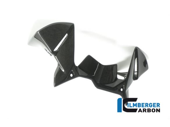WINDPROTECTION ON THE INSTRUMENTS CARBON ILMBERGER BMW R 1200 GS 2017-2018