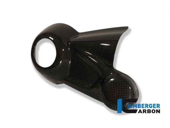 BEVEL DRIVE HOUSING PROTECTION CARBON ILMBERGER BMW HP2 SPORT 2008-2012