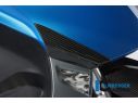 CRASHPADS FRONT SET CARBON ILMBERGER BMW C 600 SPORT