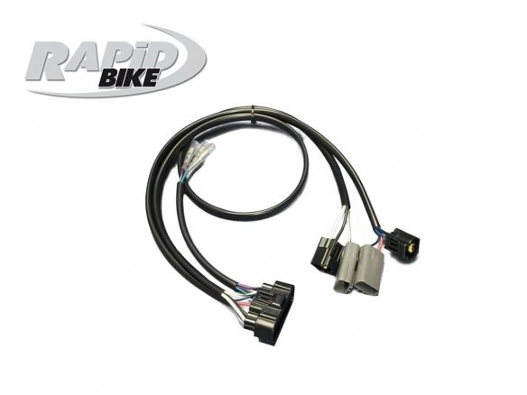KIT CENTRALINA RAPID BIKE EASY 2 BMW R 1200 GS 2010-2012