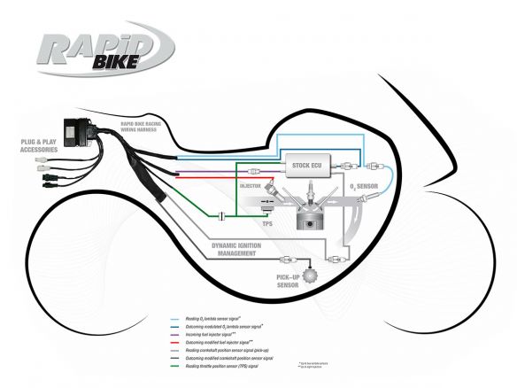 RAPID BIKE RACING CONTROL UNIT KIT BMW HP2 2008-2009